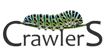 Crawlers Logo